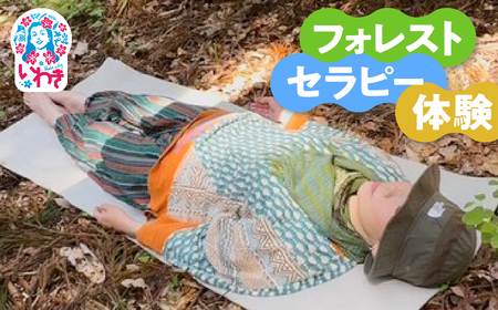 フォレストセラピー体験(森林浴×マインドフルネス瞑想体験)1回分 