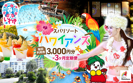 �X�p���]�[�g�n���C�A���Y�@����� 3���� �{�ݗ��p��3,000�~���i3,000�~��×1��×3�����j | ���p�`�P�b�g ���ꌔ �h���� �z�e���n���C�A���Y ���m���X�^���[ �E�C���|�[�g �t���_���X ���W���[