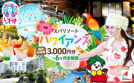 �X�p���]�[�g�n���C�A���Y�@����� 6���� �{�ݗ��p��3,000�~���i3,000�~��×1��×6�����j | ���p�`�P�b�g ���ꌔ �h���� �z�e���n���C�A���Y ���m���X�^���[ �E�C���|�[�g �t���_���X ���W���[