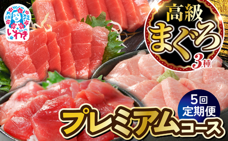 �y�����5��z�����}�O���O��v���~�A���R�[�X | ���킫�s �ӂ邳�Ɣ[�� ������Г����{�f�� �� �{�� �{�܂��� �}�O�� �h���g ������ ������ �C�N ���i �𓀃��V�s�t �����5�� �{�� ��g��