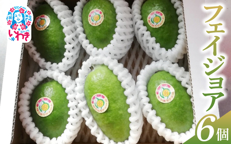 [先行予約]フェイジョア果実(大玉) 6個入り | フェイジョア 果実 大玉 6個入り ゆうゆうファーム 福島県 いわき市 国産 産地直送 希少フルーツ 南国果実 旬果 新鮮 お取り寄せ 高級フルーツ | YU005-6s