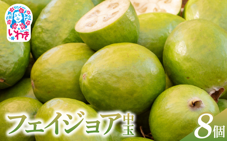 [先行予約]フェイジョア果実(中玉) 8個入り | フェイジョア 果実 中玉 8個入り ゆうゆうファーム 福島県 いわき市 国産 産地直送 希少フルーツ 南国果実 旬果 新鮮 お取り寄せ 高級フルーツ | YU006-8s