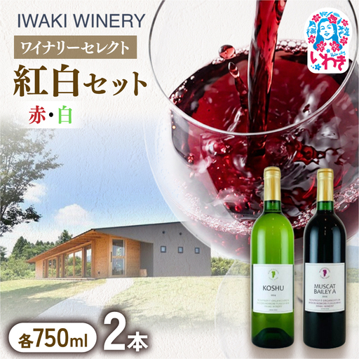 いわきワイナリー 紅白セット 750ml×2本 ワインセット ワイン