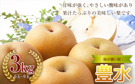 [2024年秋出荷]味が濃い梨 豊水3kg (6〜9玉) F23R-632