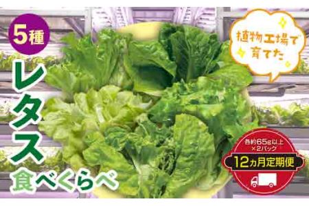 定期便 12ヶ月連続 植物工場で育てた5種のレタス食べくらべセット 10パック F23R-787