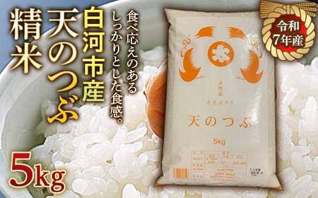 令和7年産米 白河市産天のつぶ精米5kg 米 お米 コメ ごはん ご飯 食品 F25R-006
