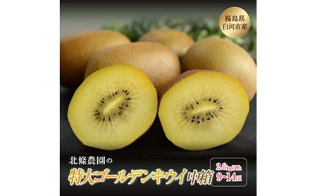 特大ゴールデンキウイ 中箱 2.6kg以上 9〜14玉 F21R-104