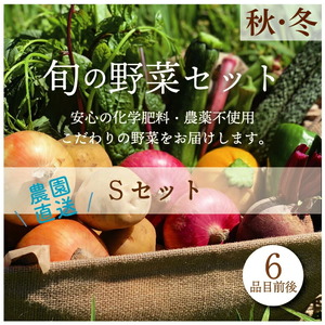 [先行予約]都内マルシェで人気のお野菜!秋冬 旬の野菜セットSサイズ(6品前後) F21R-211