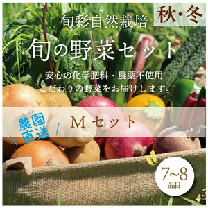 《先行予約》都内マルシェで人気のお野菜！秋冬 旬の野菜セットMサイズ(7～8品) F21R-212