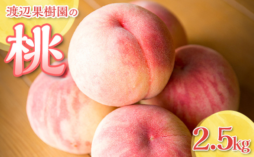渡辺果樹園の桃 約2.5kg F7X-0161