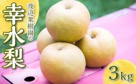 渡辺果樹園の幸水梨 約3kg[8月中旬〜9月上旬にお届け]