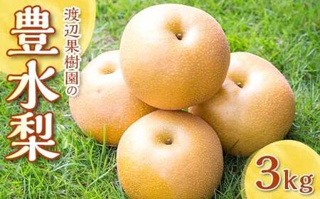 渡辺果樹園の豊水梨 約3kg＜9月上旬～9月下旬にお届け＞ F7X-0163