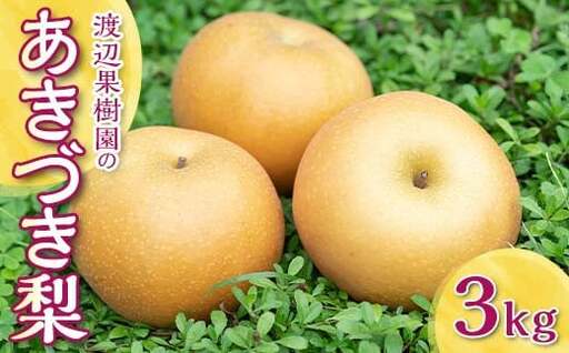 渡辺果樹園のあきづき梨 約3kg[9月中旬〜10月上旬にお届け]