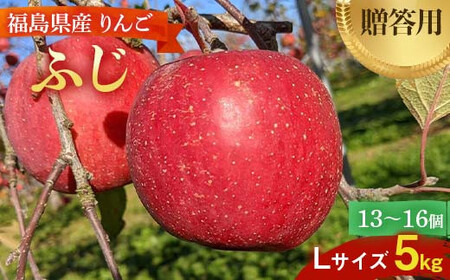 Kj_  5kg ӂ LTCY 13`16 F7X-0221