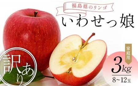 [訳あり家庭用りんご]福島県のリンゴ いわせっ娘 約3kg(8〜12玉)