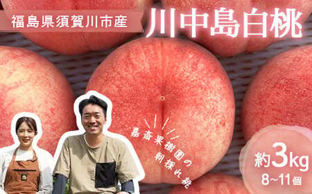 [先行受付] 嘉斎果樹園の桃「川中島白桃」約3kg(8〜11個) もも モモ 桃 デザート フルーツ 果物 くだもの 果実 食品