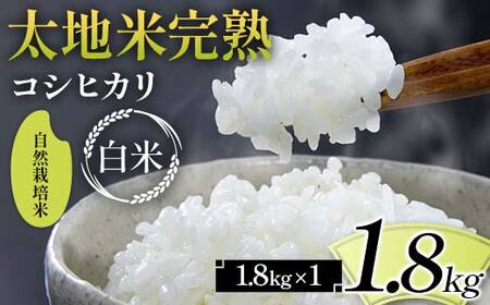 2026年産 自然栽培米 太地米完熟[こしひかり] 白米 1.8kg ブランド米 お米 精米 白米 人気