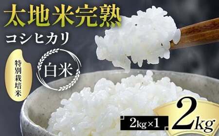 2024年産 特別栽培米 太地米完熟 [こしひかり] 白米 2kg ブランド米 お米 精米 白米 人気