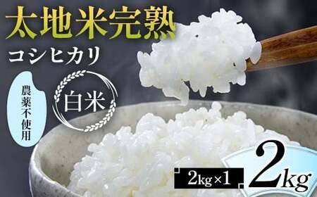 2024年産 農薬不使用 太地米完熟 [こしひかり] 白米 2kg ブランド米 お米 精米 白米 人気