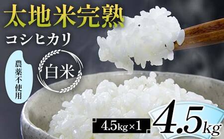 2026年産 農薬不使用 太地米完熟【こしひかり】 白米 4.5kg ブランド米 お米 精米 白米 人気 F7X-0670