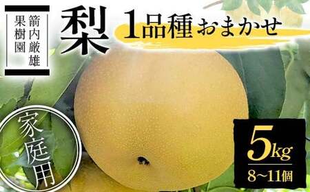  ƒp 1i킨܂ 5kg 8`11 Yʎ Ȃ iV  fU[g t[c ʕ  F7X-0283