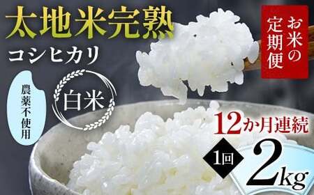 ys\zĂ̒ _sgp nĊn yЂz 2kg×12A uh    lC F7X-0399