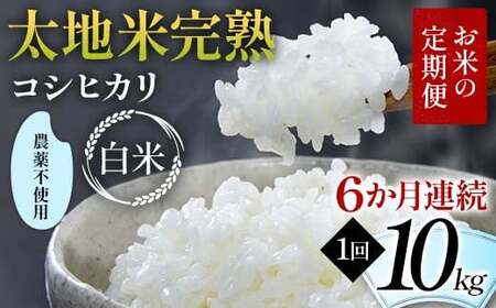 ys\zĂ̒ _sgp nĊn yЂz 10kg×6A uh    lC F7X-0421