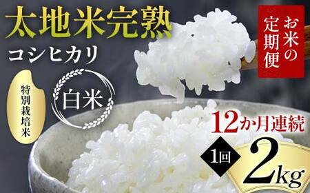 ys\zĂ̒ ʍ͔| nĊn yЂz 2kg×12A uh    lC F7X-0367