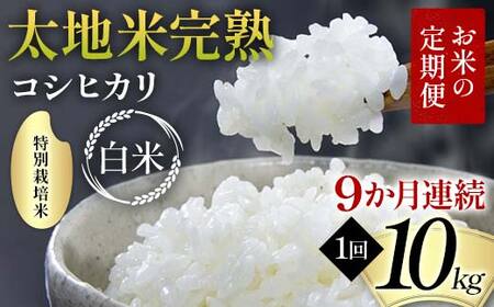 ys\zĂ̒ ʍ͔| nĊn yЂz 10kg×9A uh    lC F7X-0390