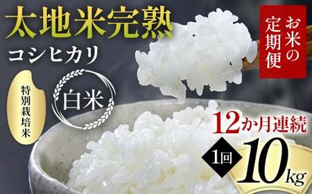 ys\zĂ̒ ʍ͔| nĊn yЂz 10kg×12A uh    lC F7X-0391