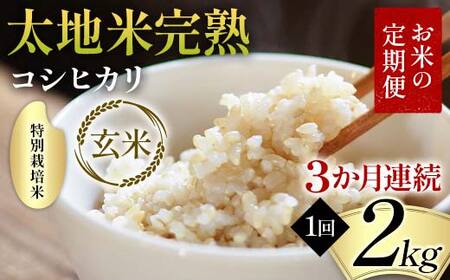 お米の定期便 特別栽培米 太地米完熟 [こしひかり] 玄米2kg×3か月連続 ブランド米 お米 人気