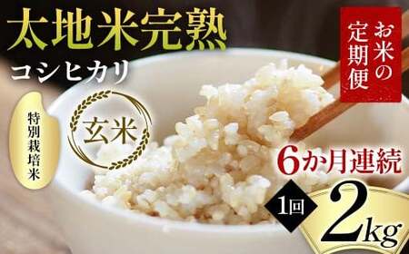 ys\zĂ̒ ʍ͔| nĊn yЂz 2kg×6A uh  lC F7X-0369