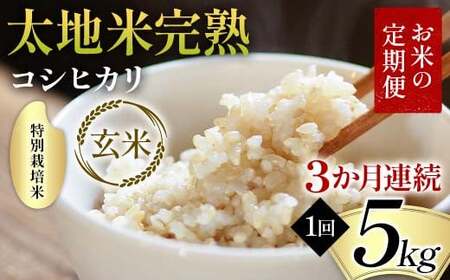 【先行予約】お米の定期便 特別栽培米 太地米完熟 【こしひかり】 玄米5kg×3か月連続 ブランド米 お米 人気 F7X-0384