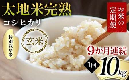 ys\zĂ̒ ʍ͔| nĊn yЂz 10kg×9A uh  lC F7X-0394