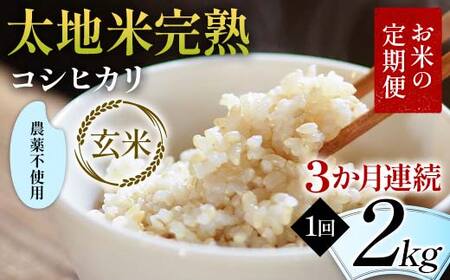 お米の定期便 農薬不使用米 太地米完熟 [こしひかり] 玄米2kg×3か月連続 ブランド米 お米 人気