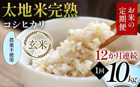 お米の定期便 農薬不使用米 太地米完熟 [こしひかり] 玄米10kg×12か月連続 ブランド米 お米 人気