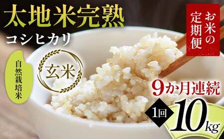 ys\zĂ̒ R͔| nĊn yЂz 10kg×9A uh  lC F7X-0458