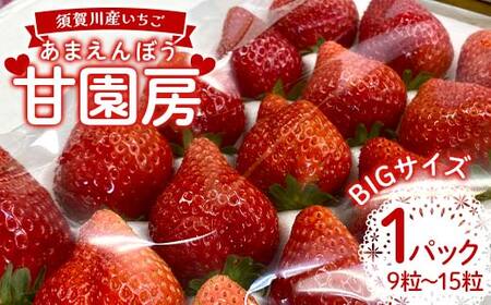 須賀川産いちご「甘園房〜あまえんぼう〜」BIGサイズ 1パック(9粒〜15粒) いちご イチゴ 苺 デザート フルーツ 果物 くだもの 果実 食品