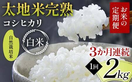 お米の定期便 自然栽培米 太地米完熟 [こしひかり] 白米2kg×3か月連続 ブランド米 お米 精米 白米 人気