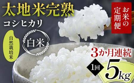 ys\zĂ̒ R͔| nĊn yЂz 5kg×3A uh    lC F7X-0444