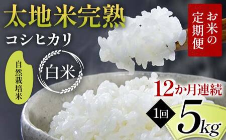 [先行予約]お米の定期便 自然栽培米 太地米完熟 [こしひかり] 白米5kg×12か月連続 ブランド米 お米 精米 白米 人気