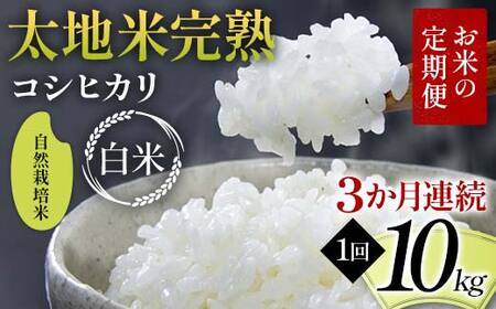 ys\zĂ̒ R͔| nĊn yЂz 10kg×3A uh    lC F7X-0452