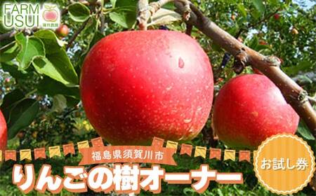 りんごの樹のオーナー お試し(サンふじ50個) 体験 農作業 収穫 りんご リンゴ 林檎 デザート フルーツ 果物 くだもの