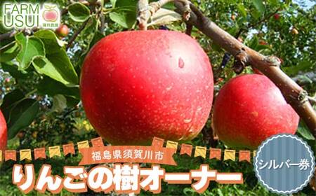 りんごの樹のオーナー シルバー(サンふじ200個) 体験 農作業 収穫 りんご リンゴ 林檎 デザート フルーツ 果物 くだもの