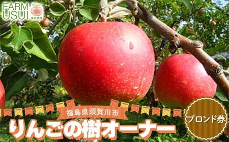 りんごの樹のオーナー ブロンズ(サンふじ100個) 体験 農作業 収穫 りんご リンゴ 林檎 デザート フルーツ 果物 くだもの