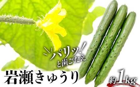タクシー会社直送 パリッと歯ごたえ 岩瀬きゅうり1kg キュウリ 野菜 漬物 サラダ 福島県 須賀川市