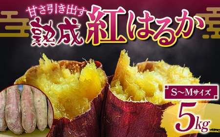甘さ引き出す 熟成紅はるか 5kg さつまいもS〜Mサイズ サツマイモ さつま芋 甘い おやつ 食品