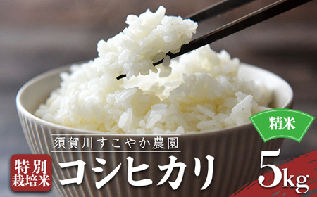 須賀川すこやか農園のコシヒカリ 精米 5kg 特別栽培米 コシヒカリ 米 お米 ブランド米 銘柄米 備蓄 日本米 こしひかり コメ ごはん ご飯 食品