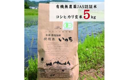有機無農薬JAS認証米コシヒカリ玄米5kg
