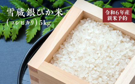【令和６年産】雪蔵銀ぴか米（コシヒカリ）5kg　【07208-0349-C】